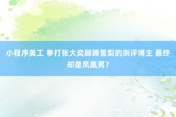 小程序美工 拳打张大奕脚踢雪梨的测评博主 最终却是凤凰男？