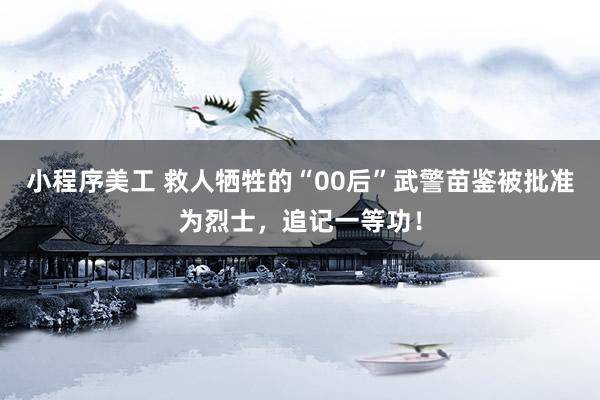 小程序美工 救人牺牲的“00后”武警苗鉴被批准为烈士，追记一等功！