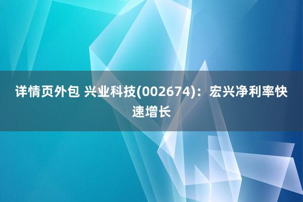 详情页外包 兴业科技(002674)：宏兴净利率快速增长